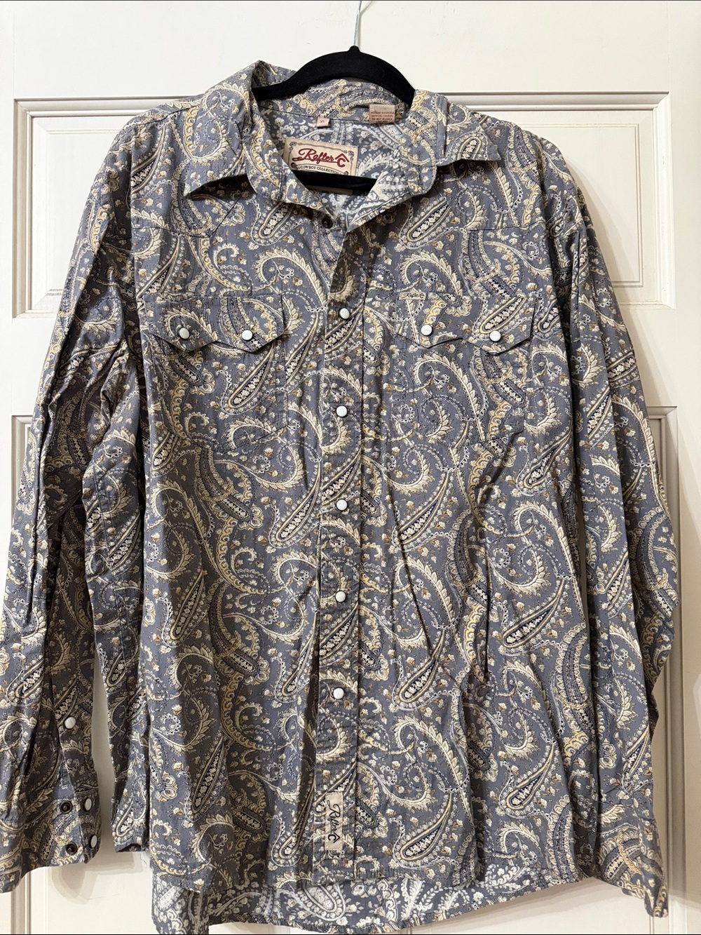 Rafter C Men's Paisley Button-Down Shirt - Gray & Cream